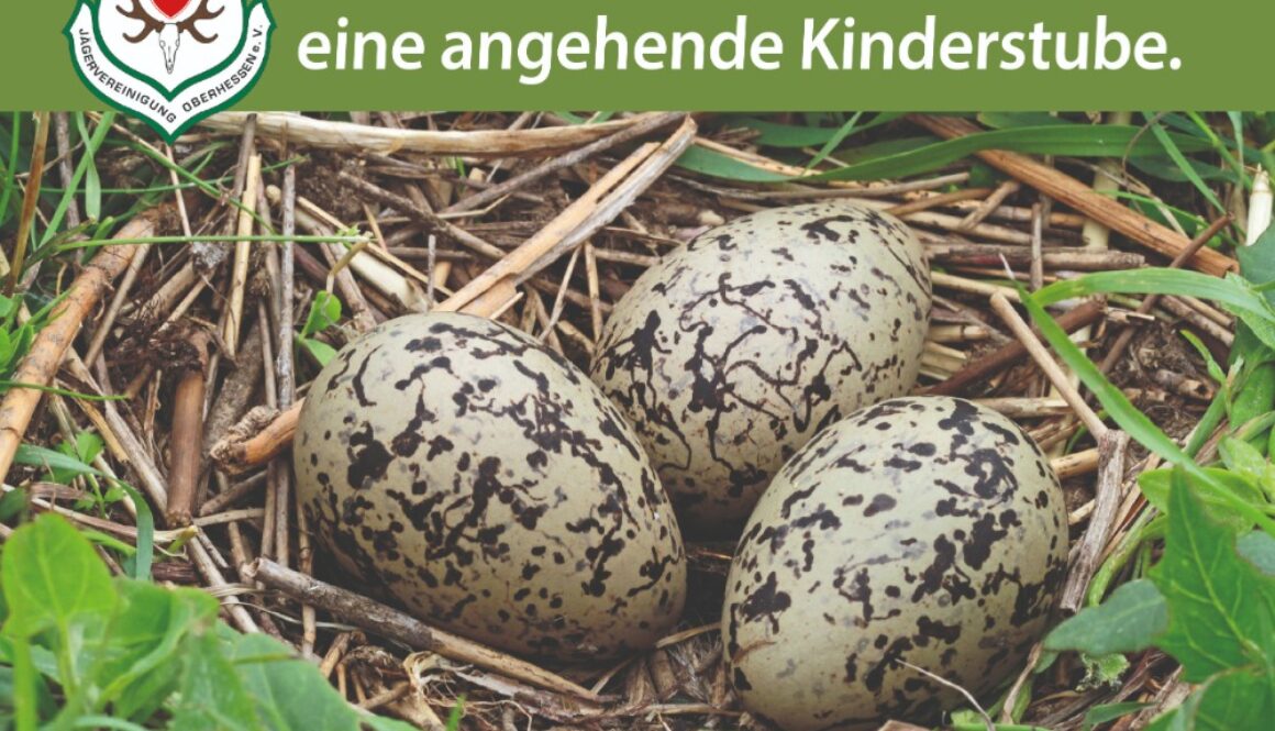 Osternest