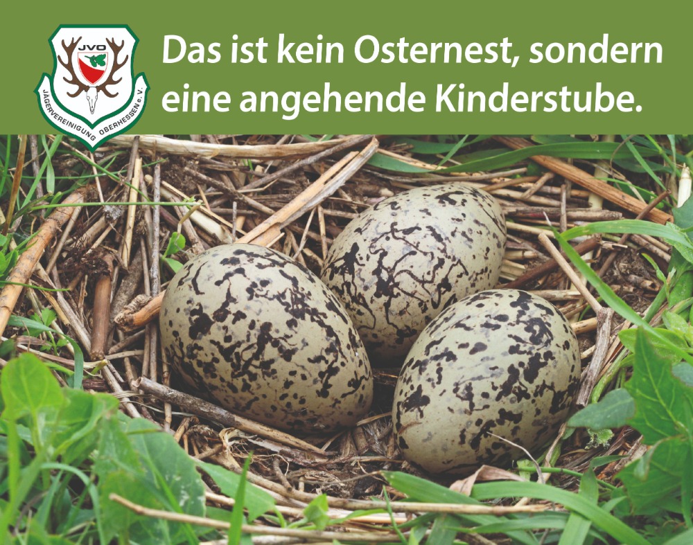 Osternest