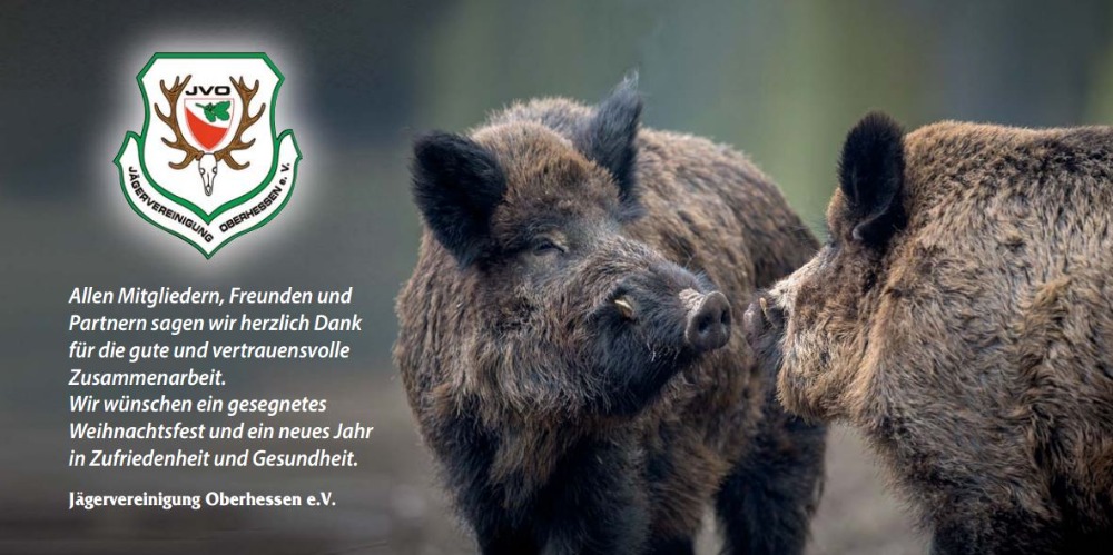 Weihnachtsgruss 2025